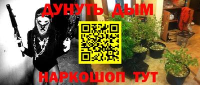 mdpv Заводоуковск